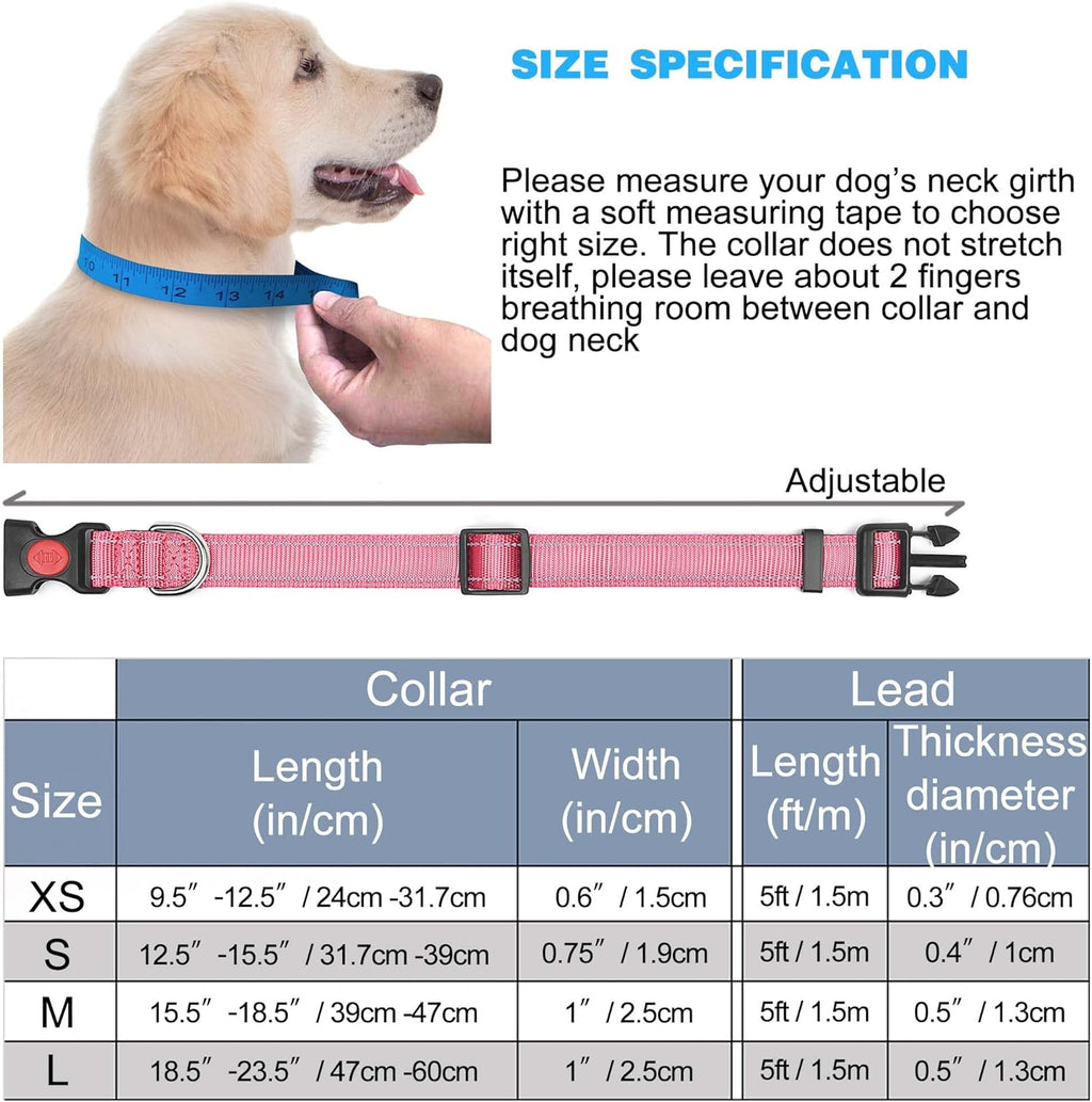 haapaw Reflective Dog Collar with Neoprene Padding