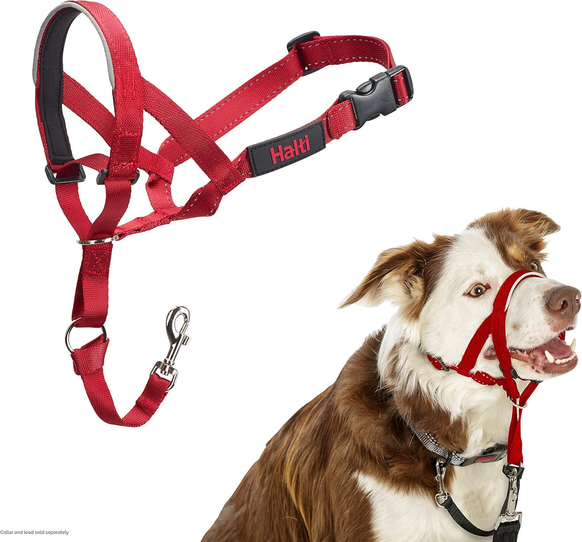 HALTI Adjustable Dog Headcollar