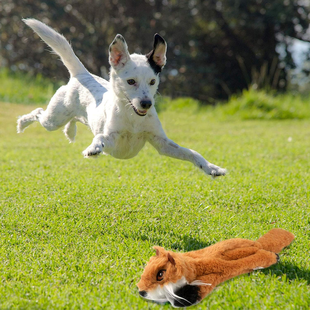 Newthinking Stuffing-Free Squeaky Dog Toy Sets