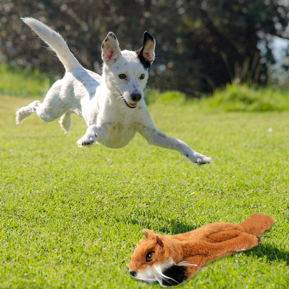 Newthinking Stuffing-Free Squeaky Dog Toy Sets