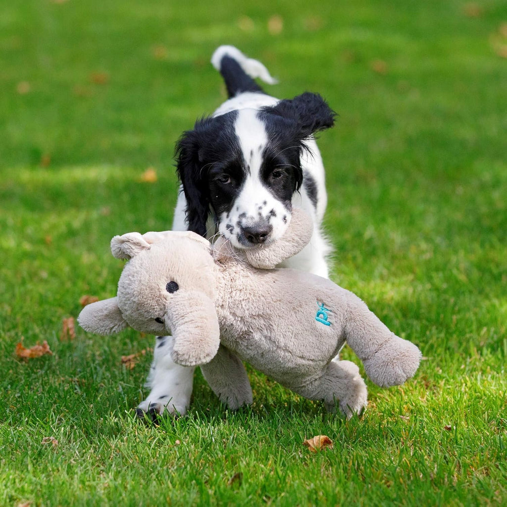 Little Petface Plush Puppy Toys