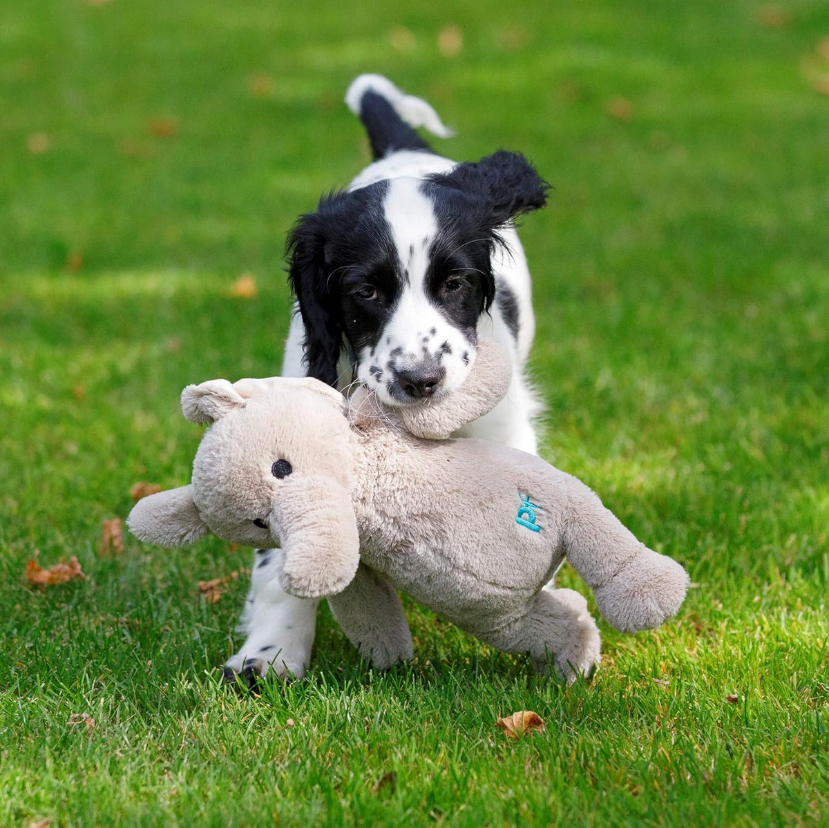 Little Petface Plush Puppy Toys