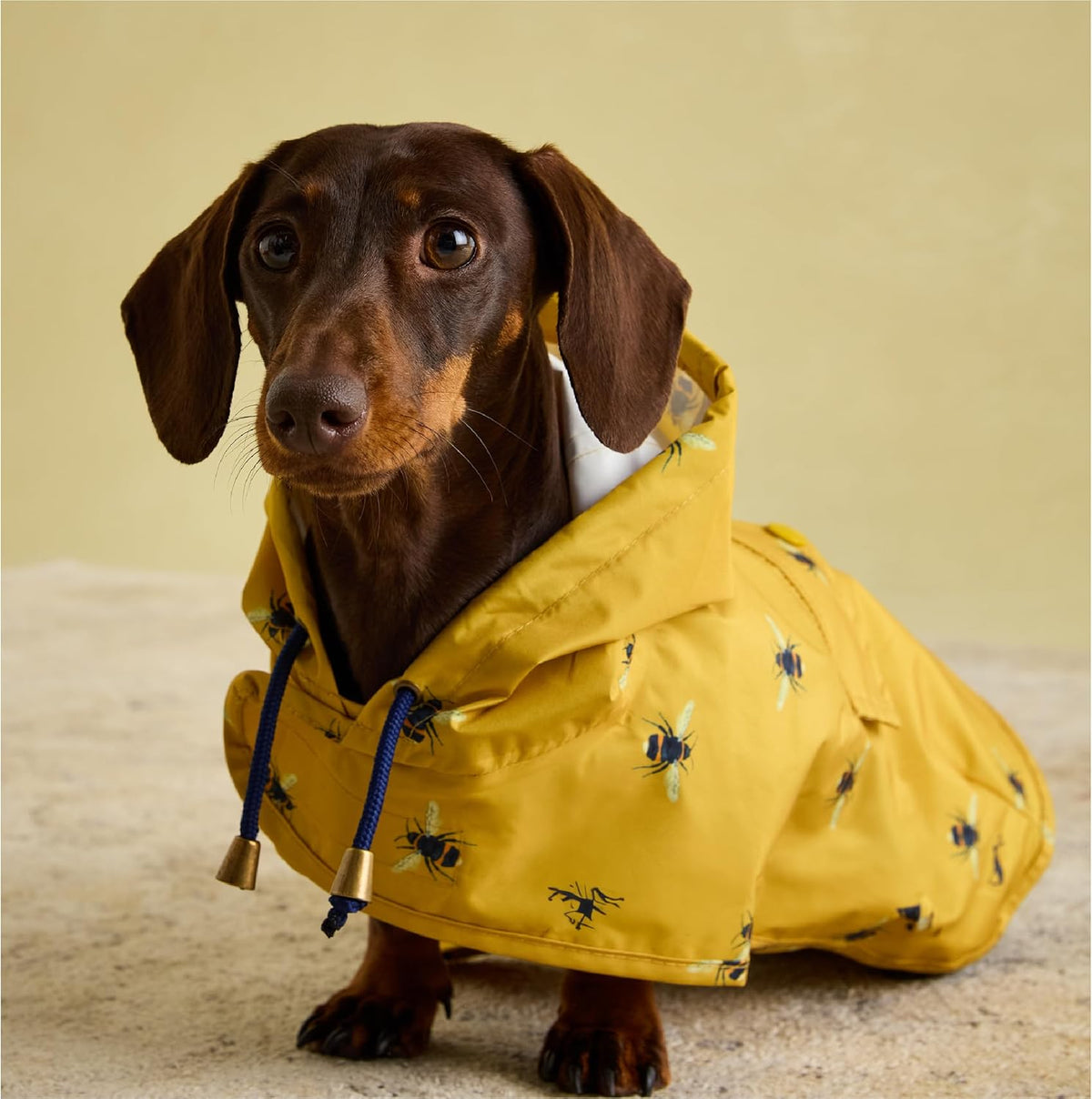 Rosewood Joules Go Lightly Packaway Dog Jacket