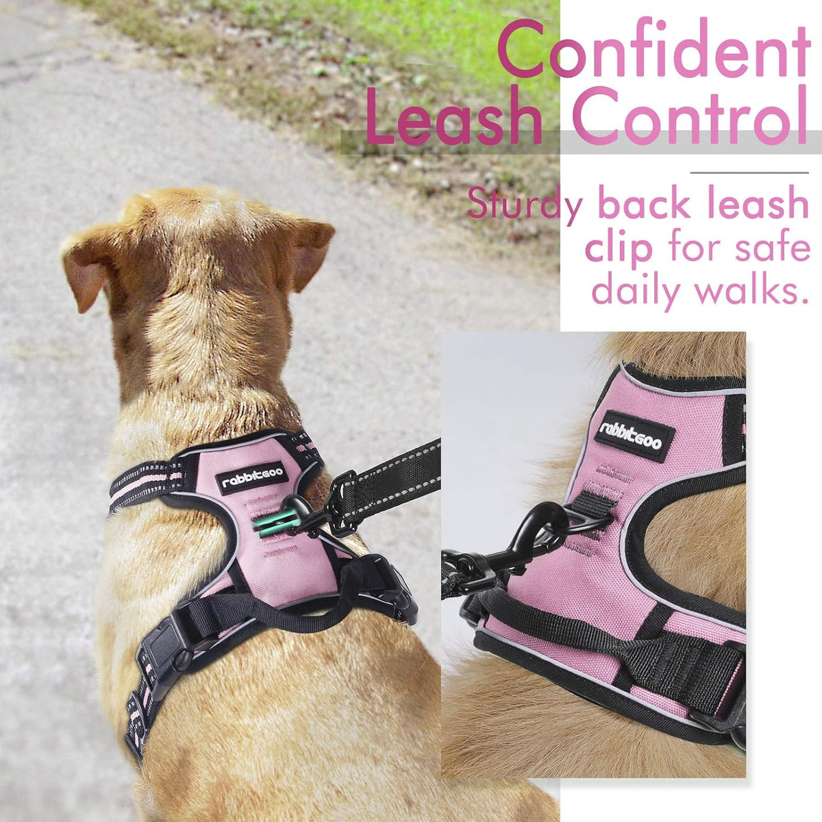 rabbitgoo Padded Dog Harness with Two Lead Clips