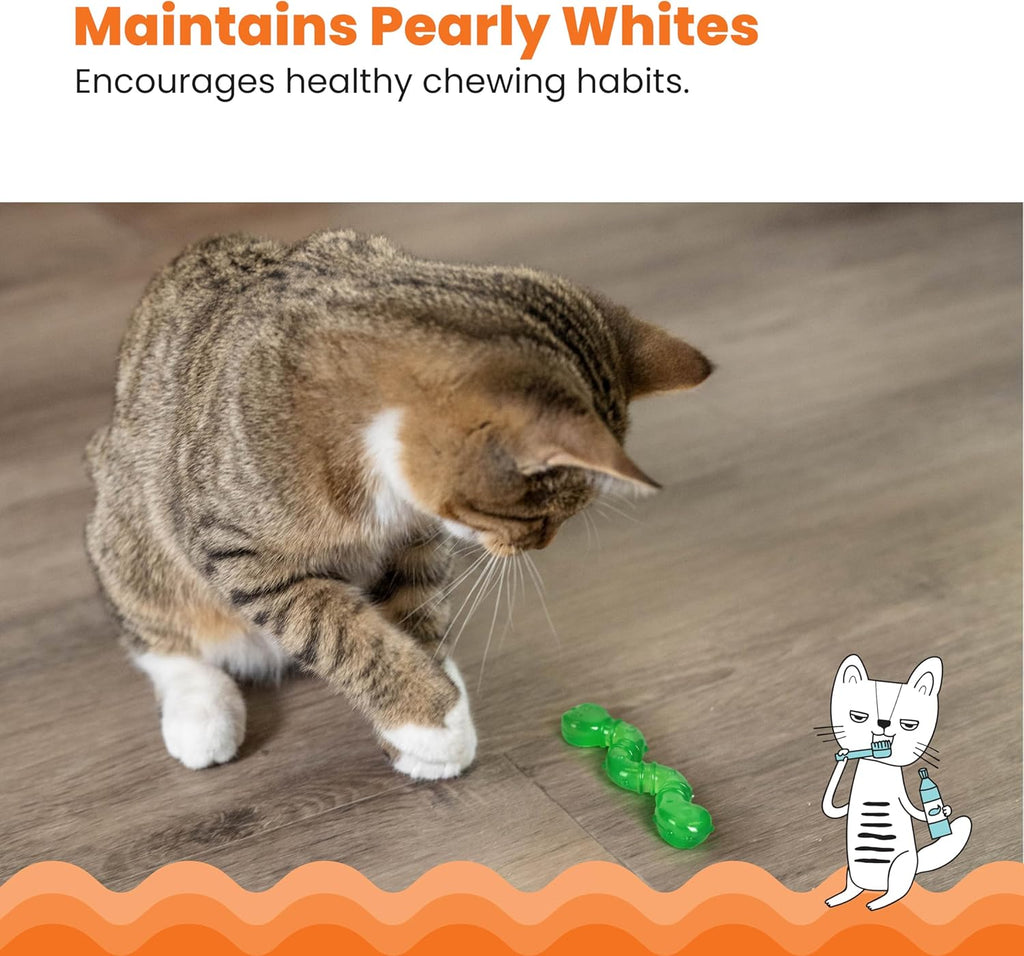 Catstages Cat Toys and Chew Toys