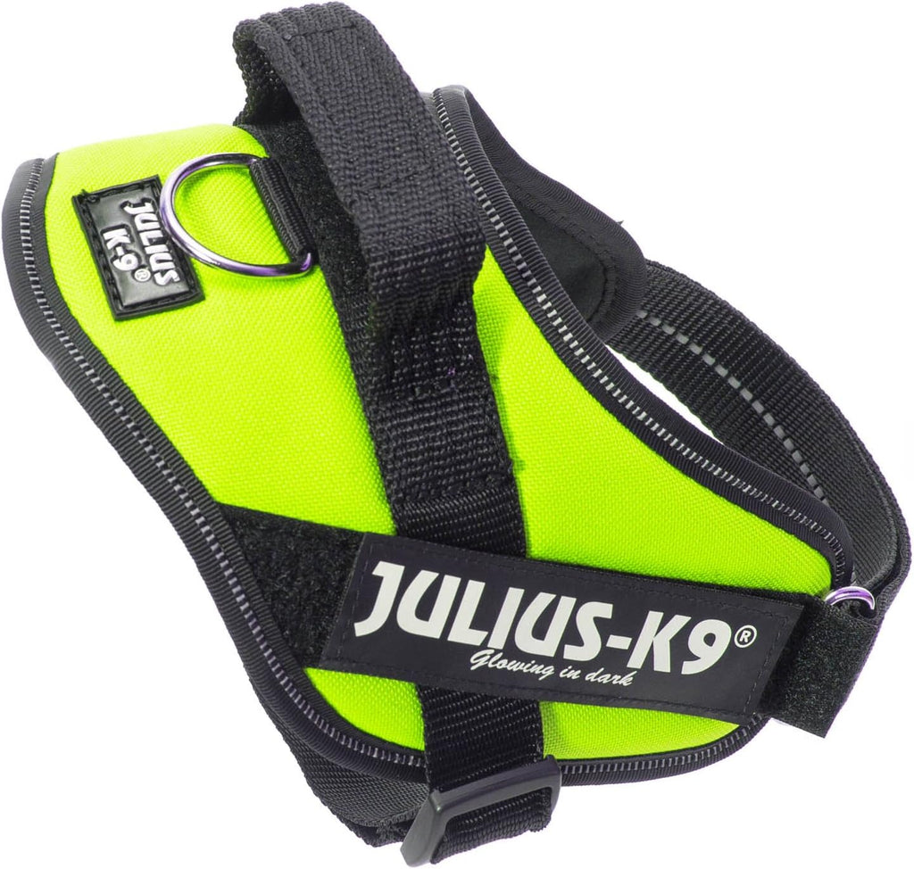 Julius-K9 IDC Powerharness for Small Dogs