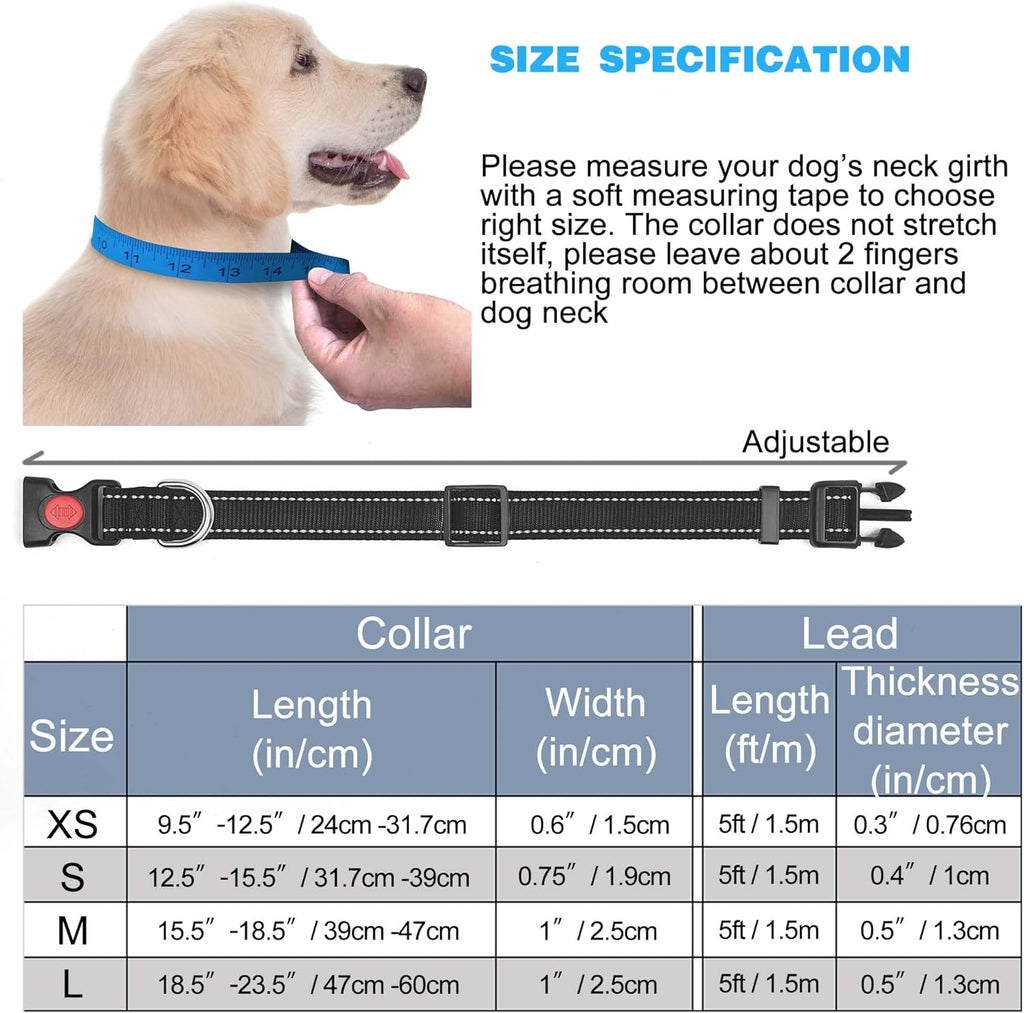 haapaw Reflective Dog Collar with Neoprene Padding