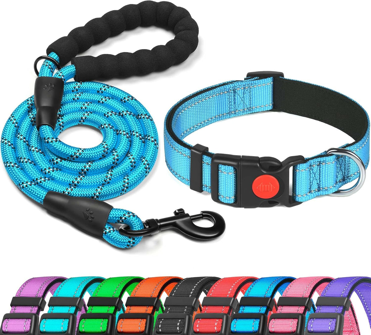 haapaw Reflective Dog Collar with Neoprene Padding