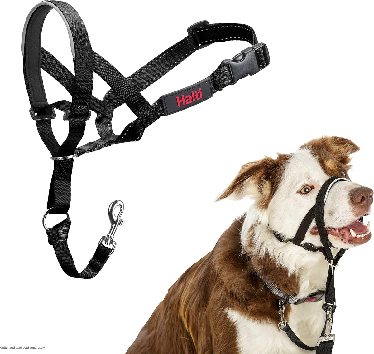 HALTI Adjustable Dog Headcollar
