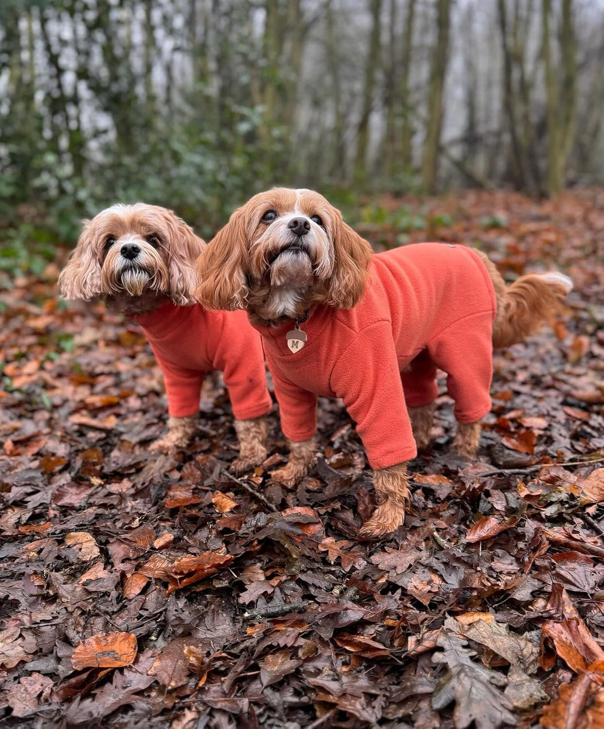 Four-Legged Fleece Dog Suit