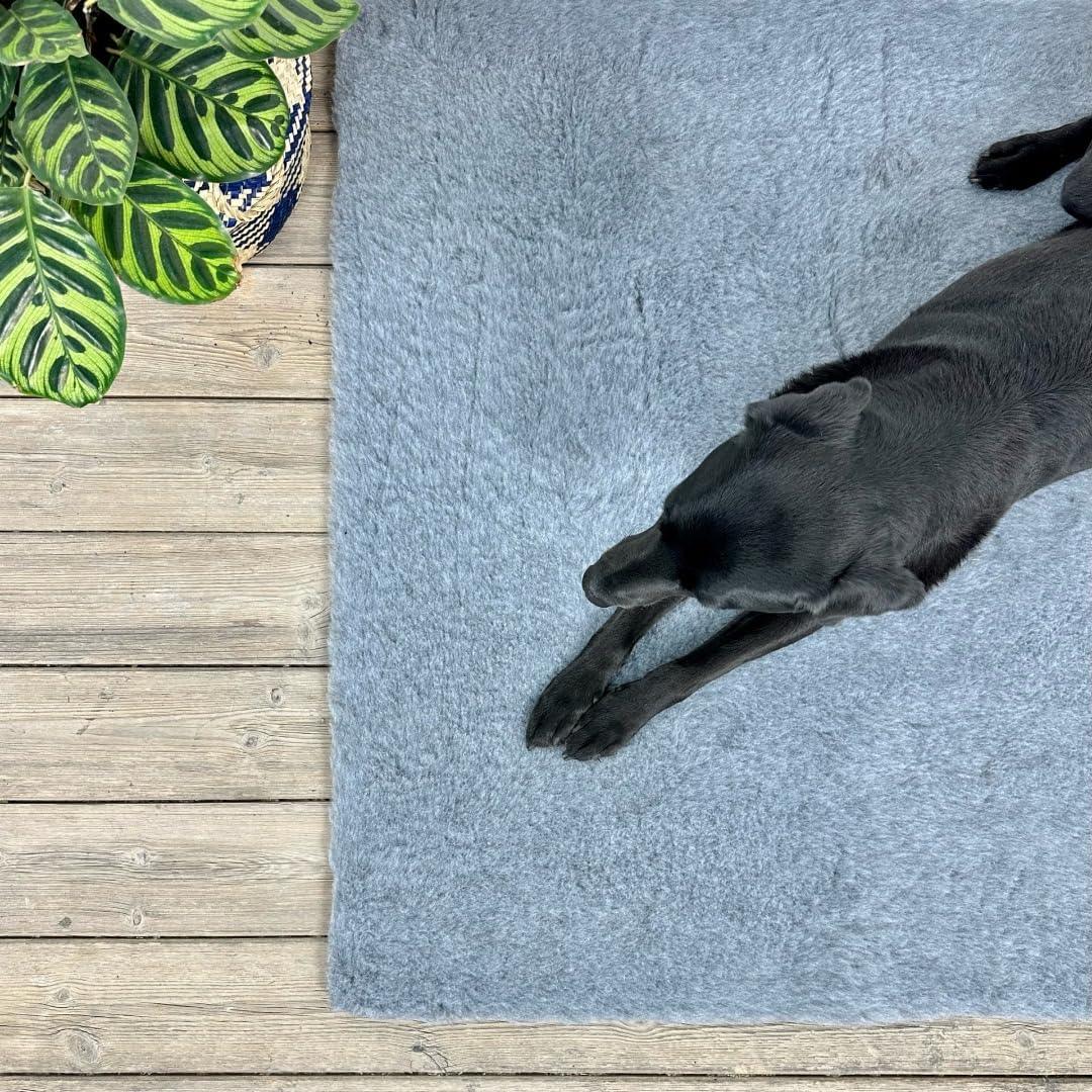 SOUL DESTINY Fleece Pet Bedding, Sizes, Rolls and Sample
