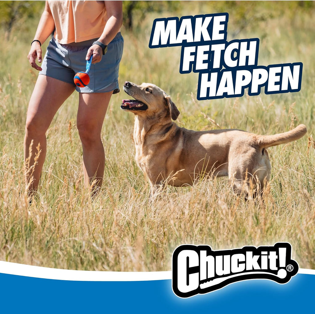 Chuckit! Ultra Tug Dog Toy
