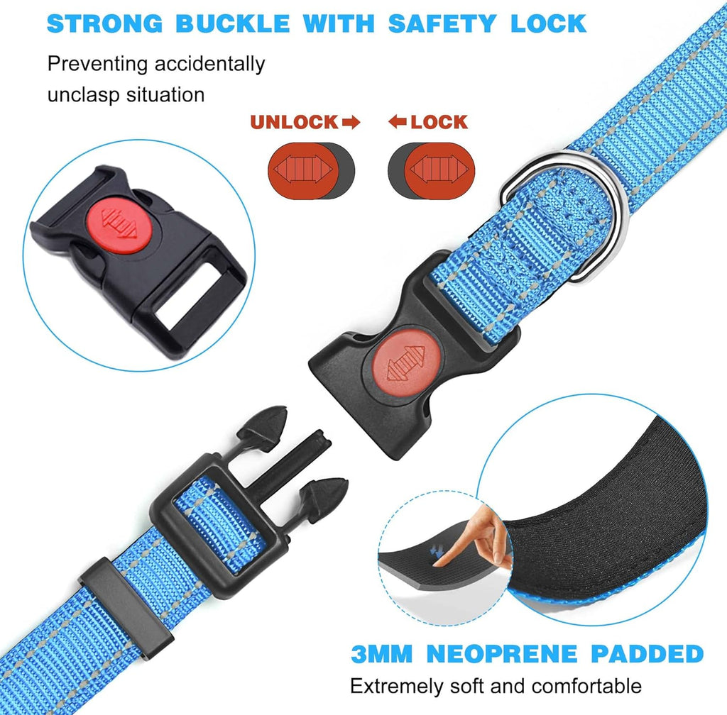 haapaw Reflective Dog Collar with Neoprene Padding