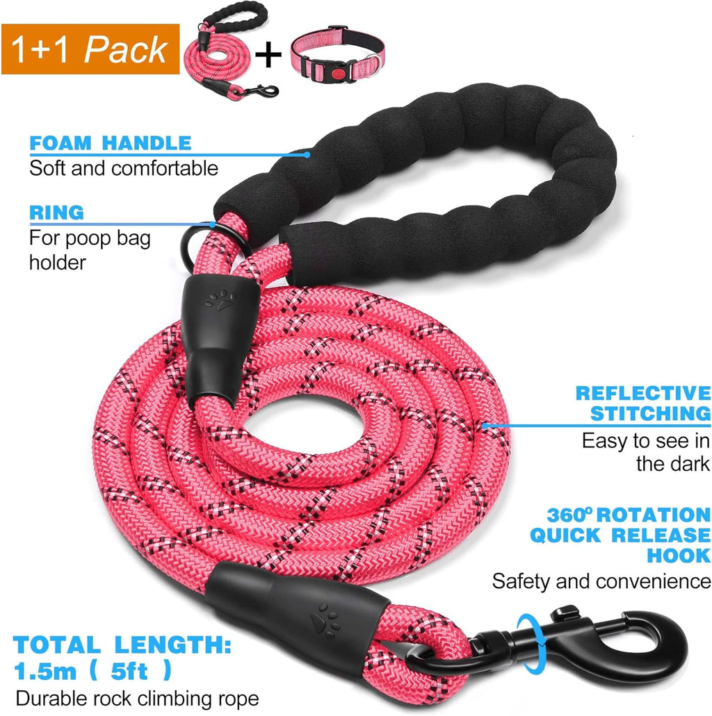 haapaw Reflective Dog Collar with Neoprene Padding