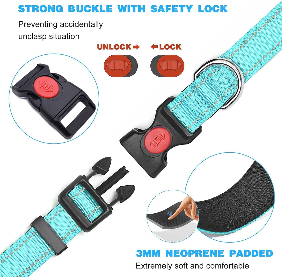 haapaw Reflective Dog Collar with Neoprene Padding