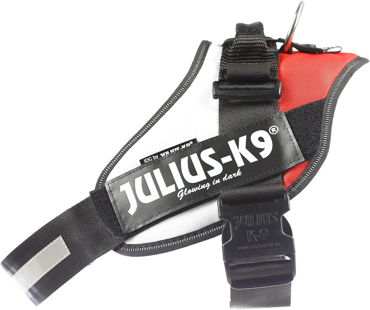 Julius-K9 IDC Powerharness for Small Dogs