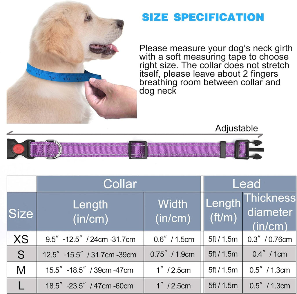 haapaw Reflective Dog Collar with Neoprene Padding