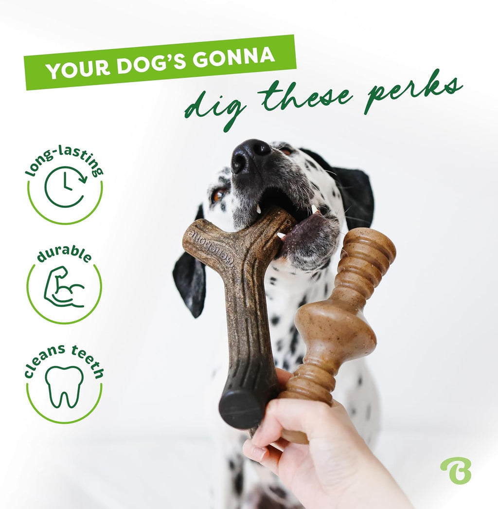 Benebone Dog Chew Toy Multipacks
