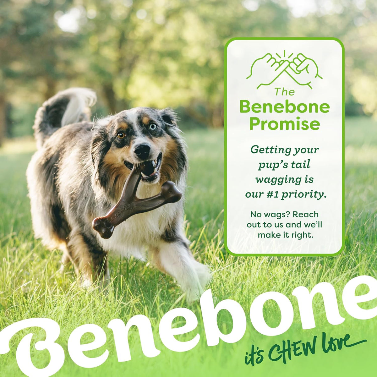 Benebone Dog Chew Toy Multipacks