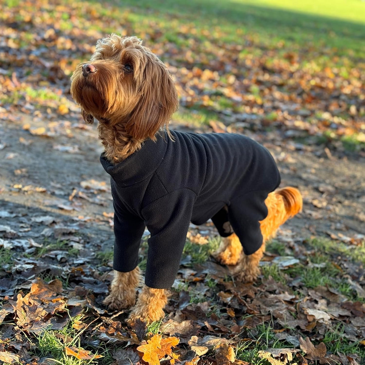 Four-Legged Fleece Dog Suit