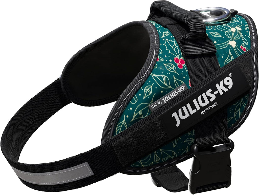 Julius-K9 IDC Powerharness for Small Dogs