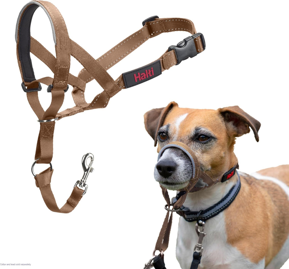 HALTI Adjustable Dog Headcollar