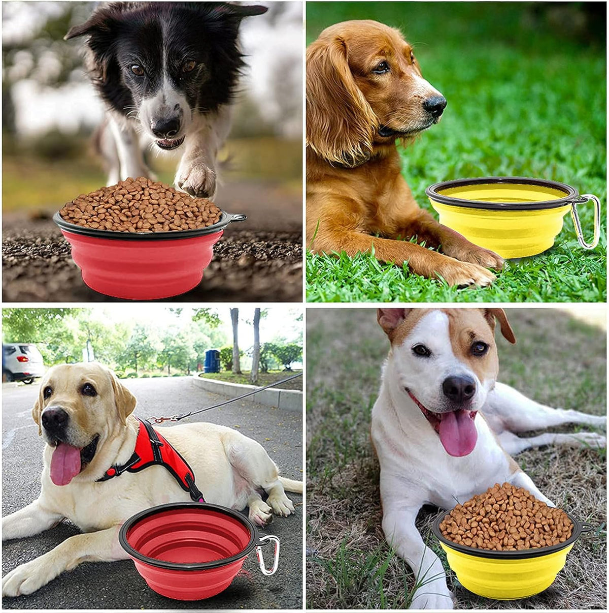 Coolon Collapsible Travel Bowls for Pets