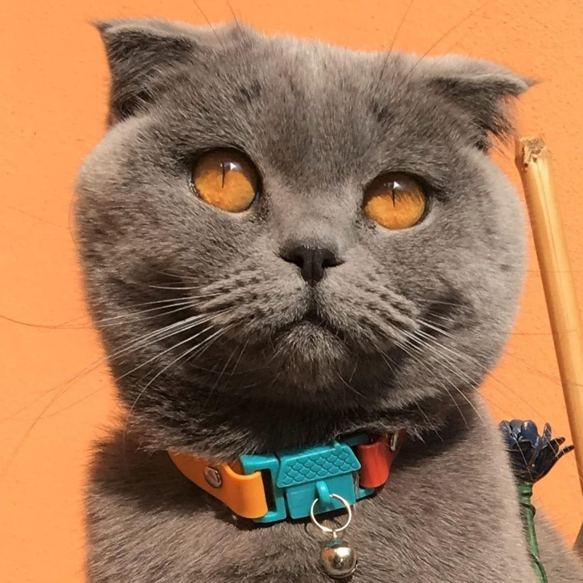 Kittyrama Silicone Cat Collar with Bell