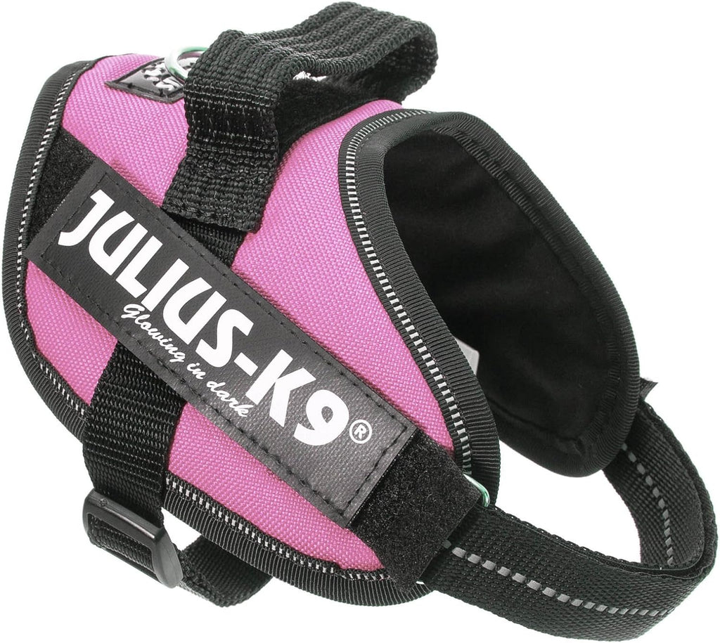 Julius-K9 IDC Powerharness for Small Dogs