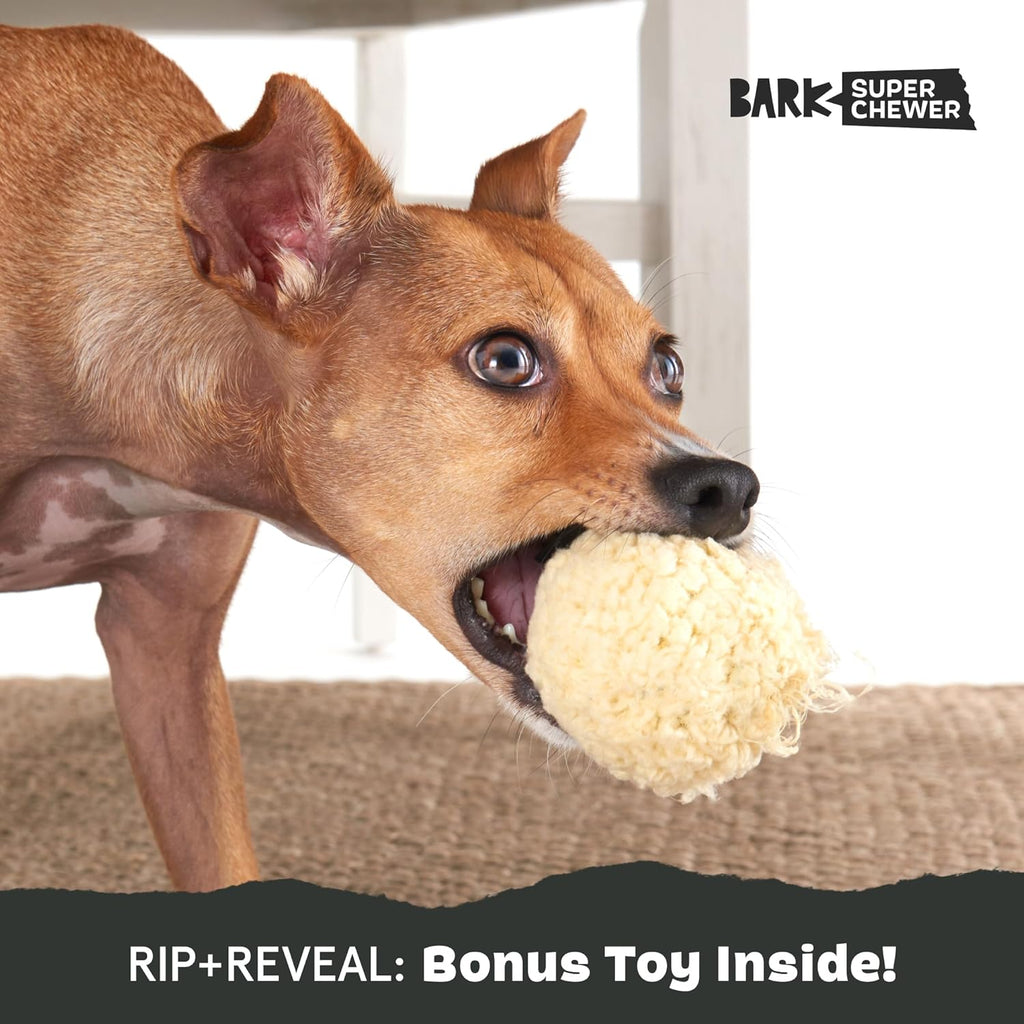 BarkBox Squeaky Plush Dog Toys