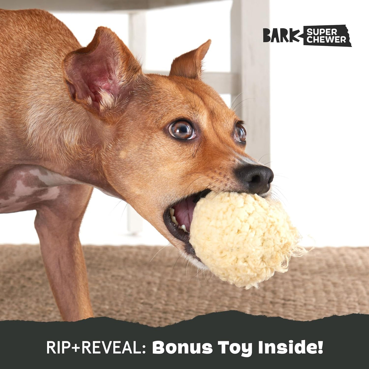 BarkBox Squeaky Plush Dog Toys