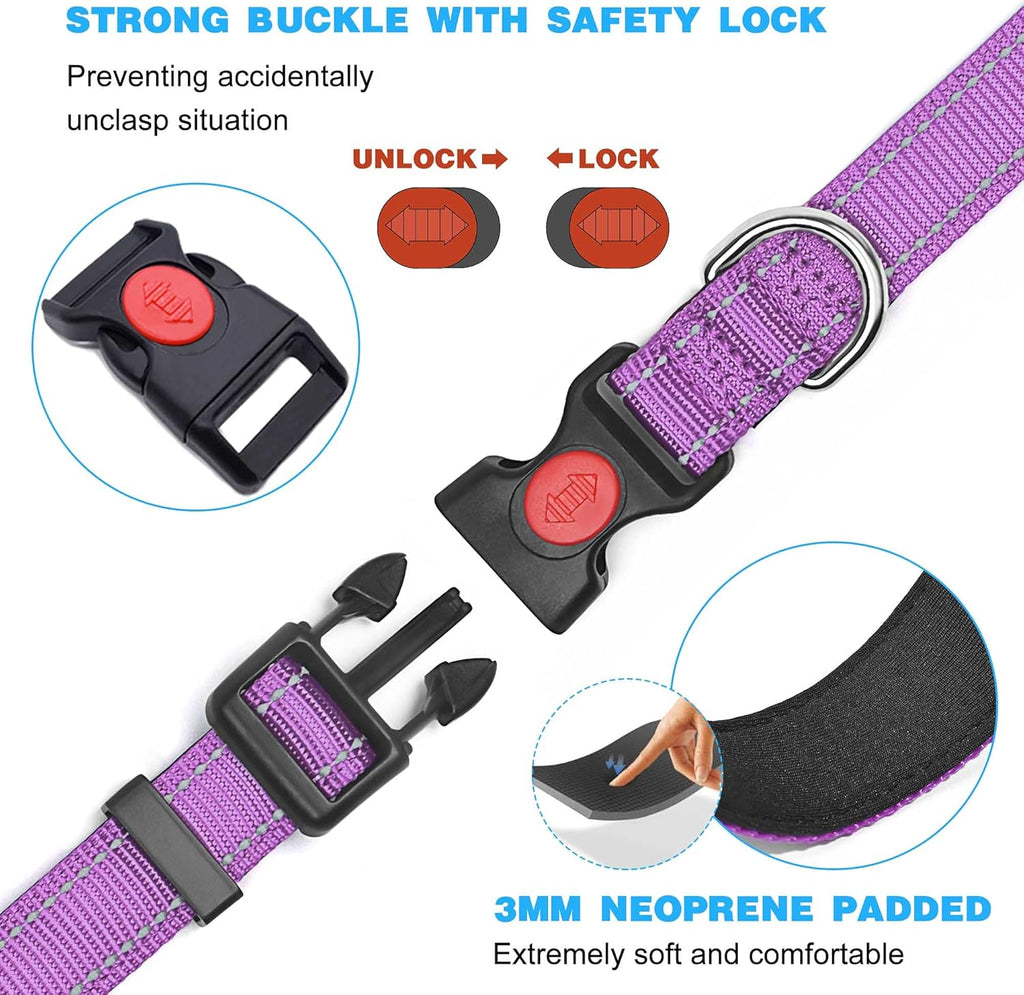 haapaw Reflective Dog Collar with Neoprene Padding