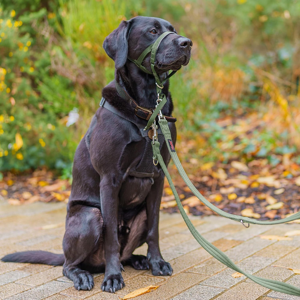 HALTI Double-Ended Training Lead