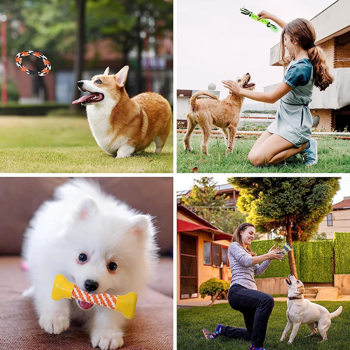 Aitmexcn Dog Rope Toys and Play Sets