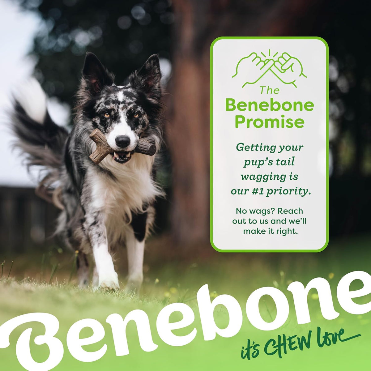 Benebone Dog Chew Toy Multipacks