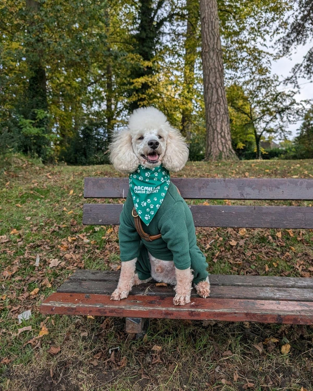 Four-Legged Fleece Dog Suit