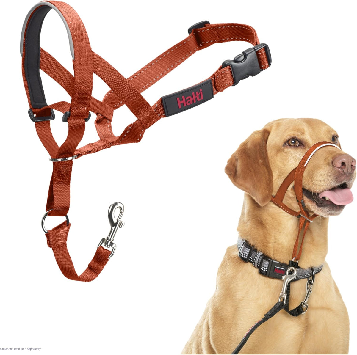 HALTI Adjustable Dog Headcollar