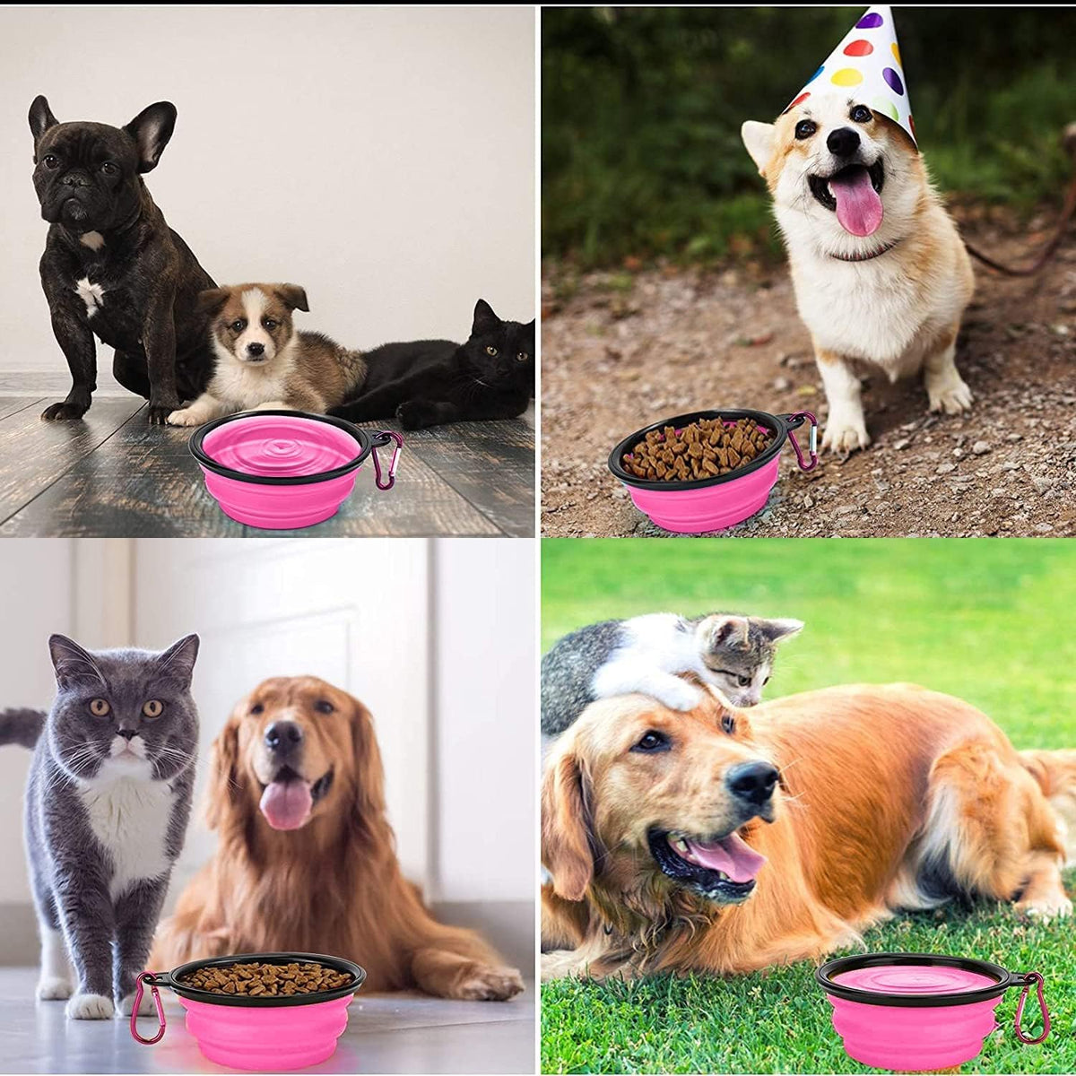 Coolon Collapsible Travel Bowls for Pets