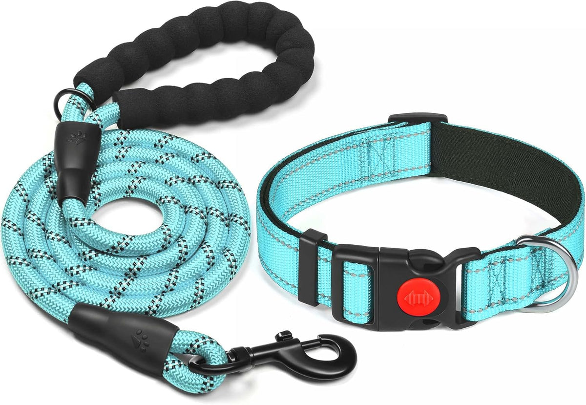 haapaw Reflective Dog Collar with Neoprene Padding