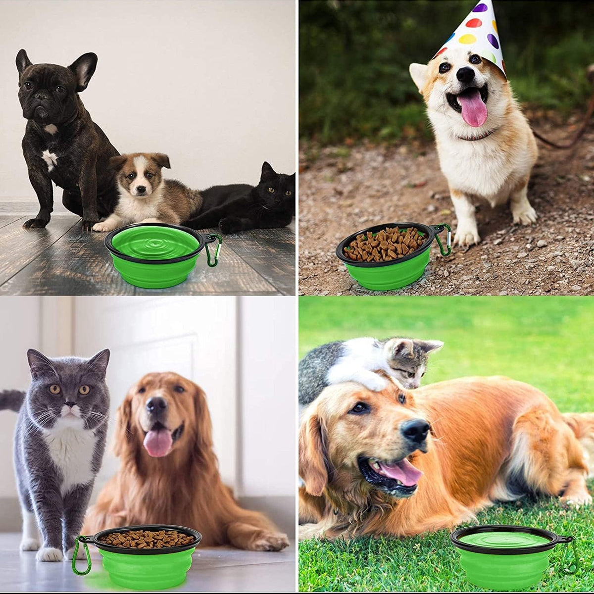 Coolon Collapsible Travel Bowls for Pets