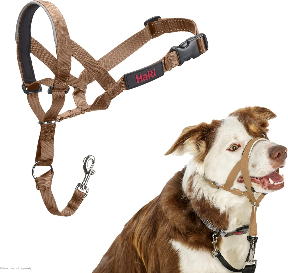 HALTI Adjustable Dog Headcollar