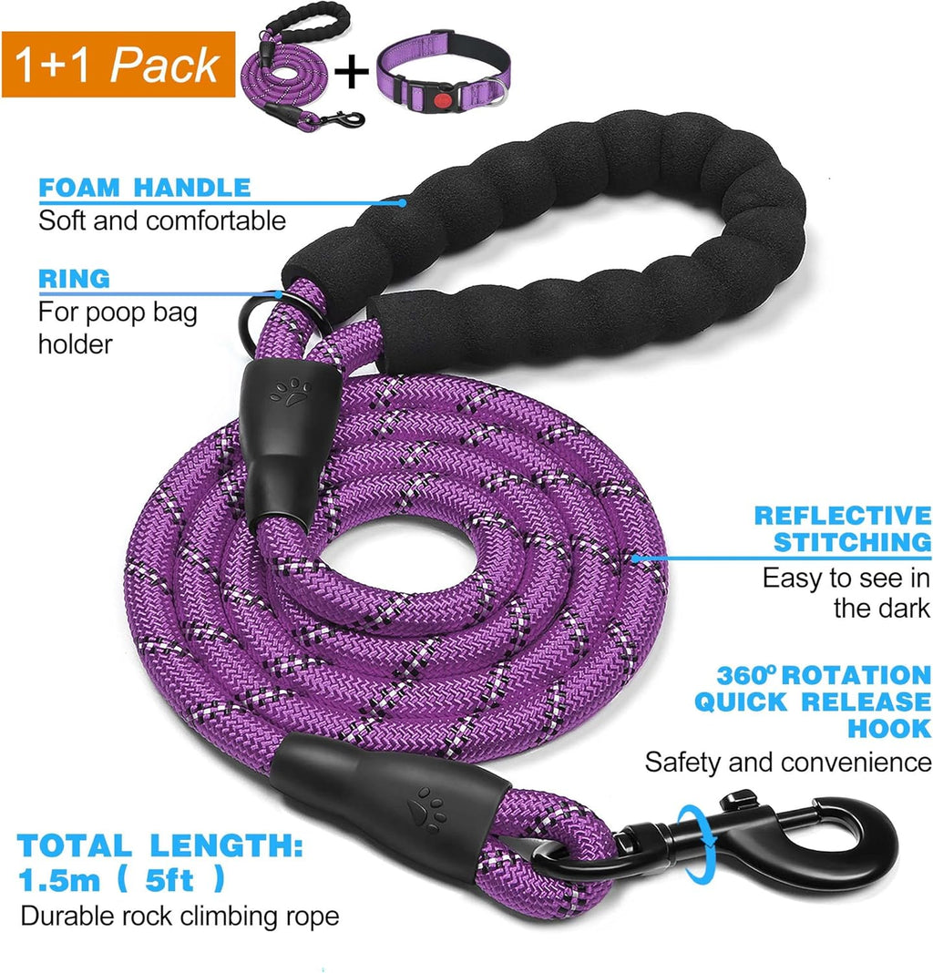 haapaw Reflective Dog Collar with Neoprene Padding