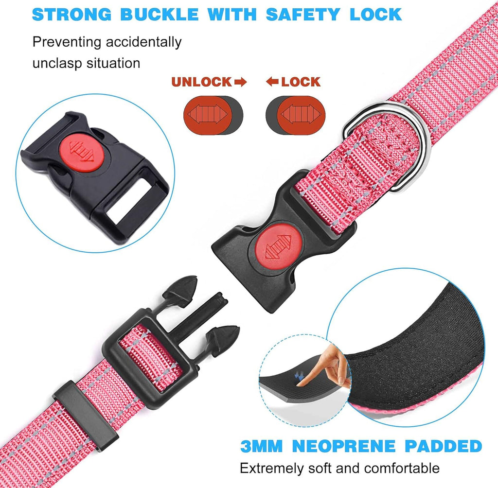 haapaw Reflective Dog Collar with Neoprene Padding