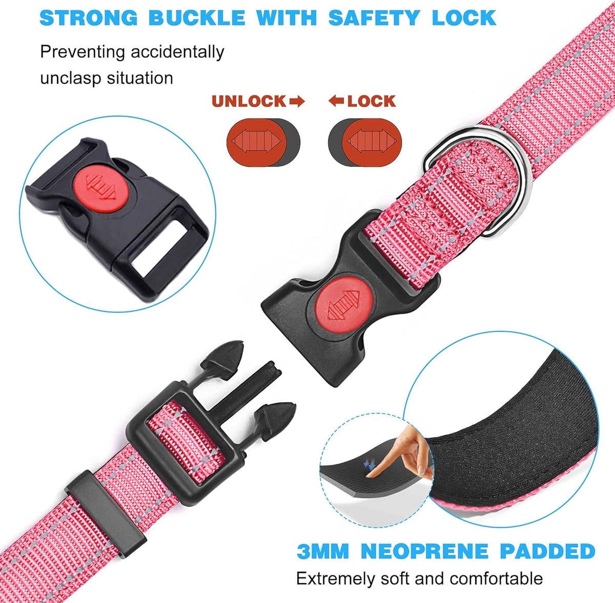 haapaw Reflective Dog Collar with Neoprene Padding
