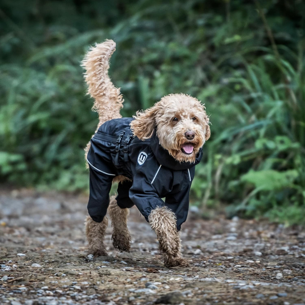 Mikki Doodles Four-Legged Dog Raincoat