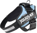 Julius-K9 IDC Powerharness for Small Dogs