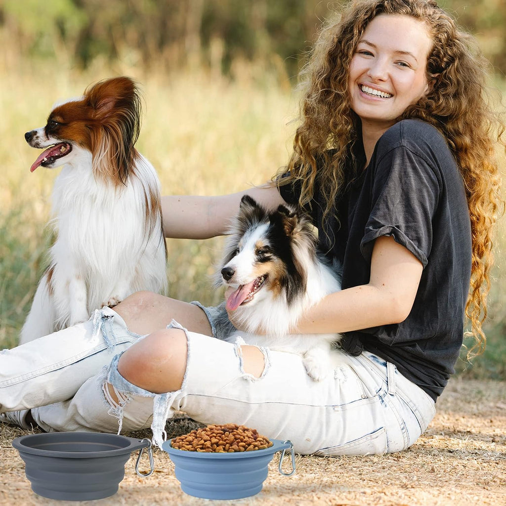 SLSON Collapsible Pet Travel Bowls, Pack of 2