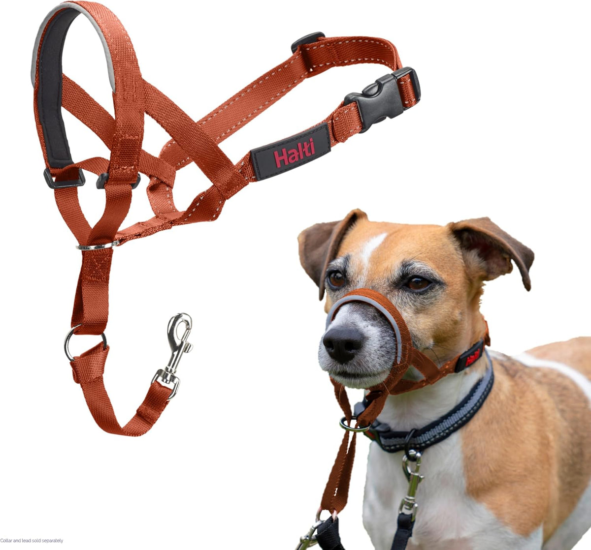 HALTI Adjustable Dog Headcollar