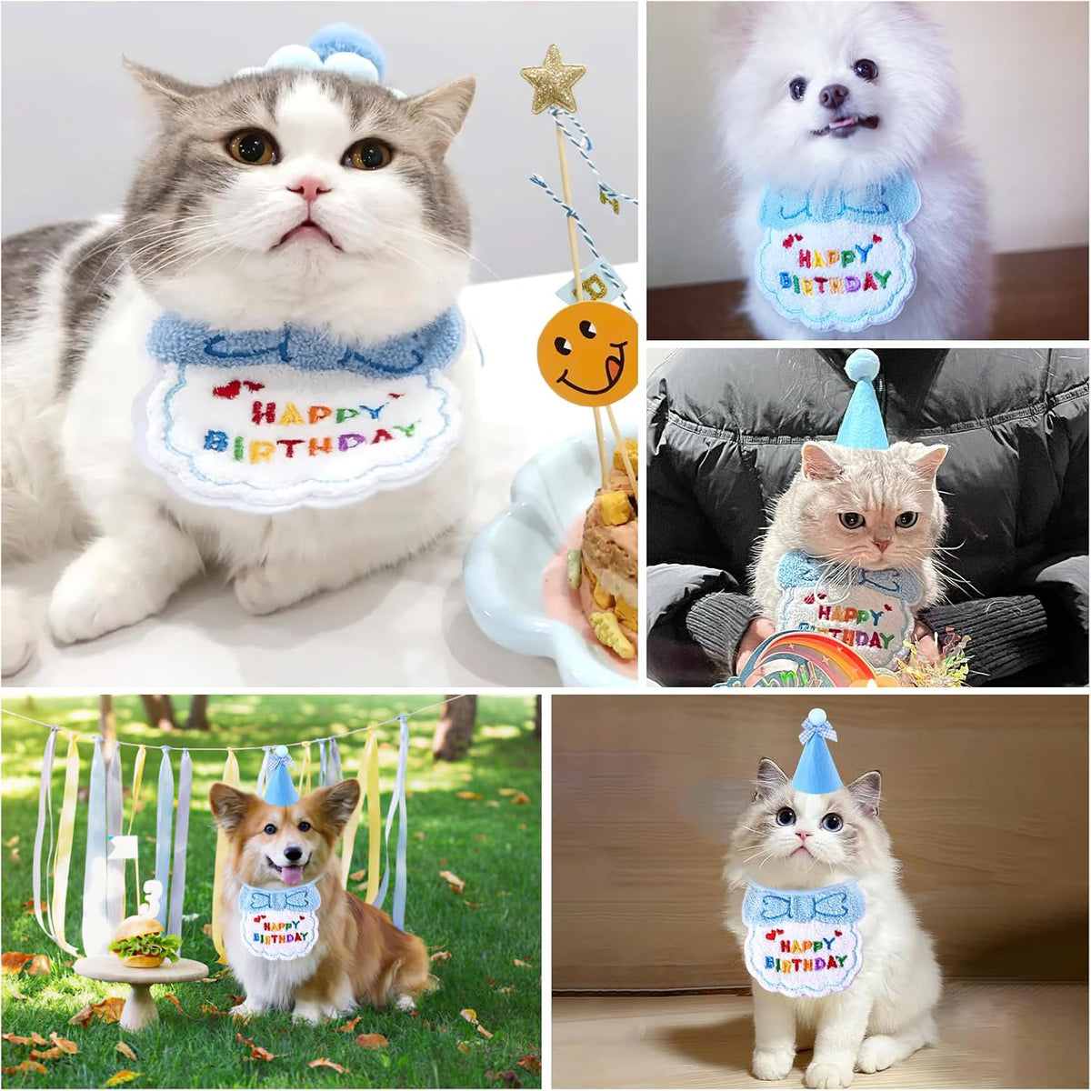 Pet Birthday Hat and Bandana Set