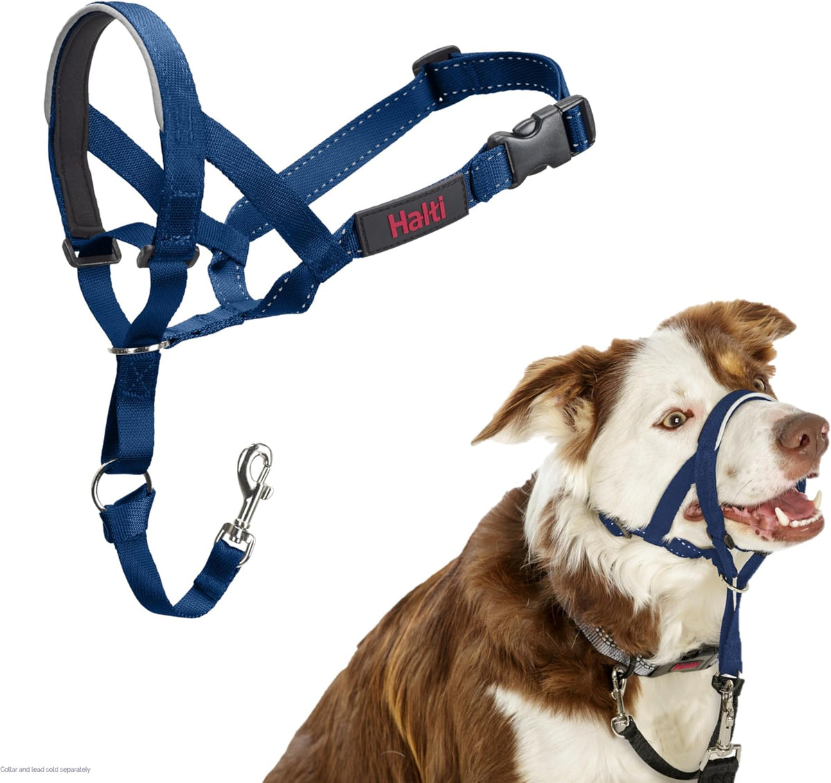 HALTI Adjustable Dog Headcollar